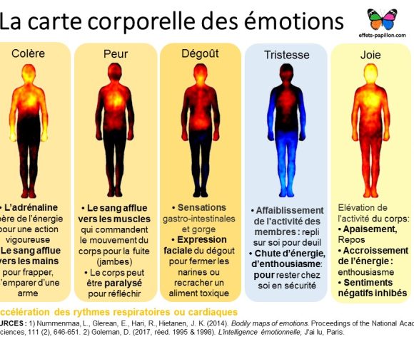 Carte-corporelle-des-émotions